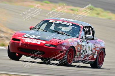 media/May-04-2025-Lucky Dog Racing (Sun) [[21629467aa]]/Turn 4 (10-1045am)/Front/